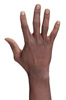Retopologized 3D Hand scan Kamoni Mccray Black male